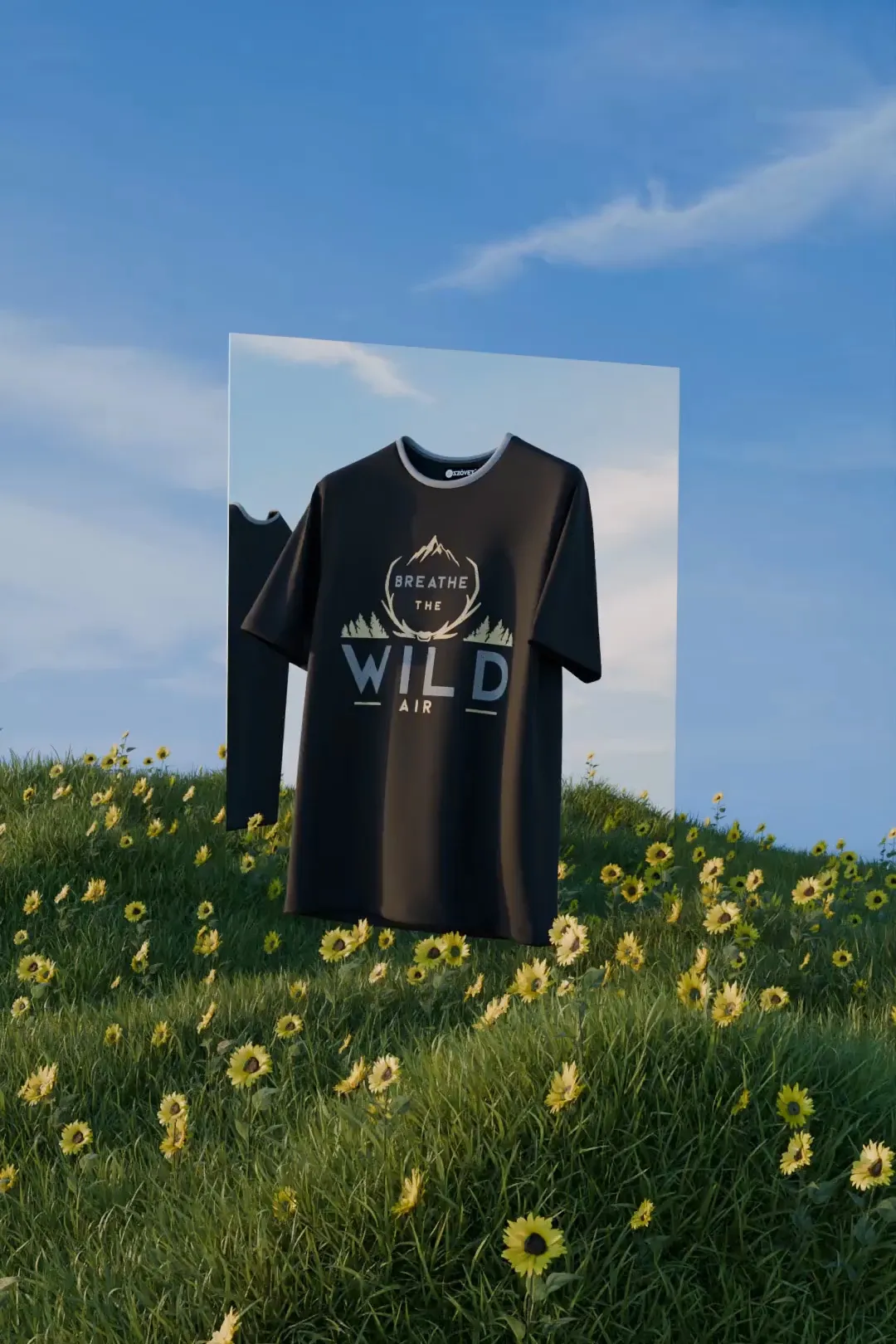 Wild video fallback