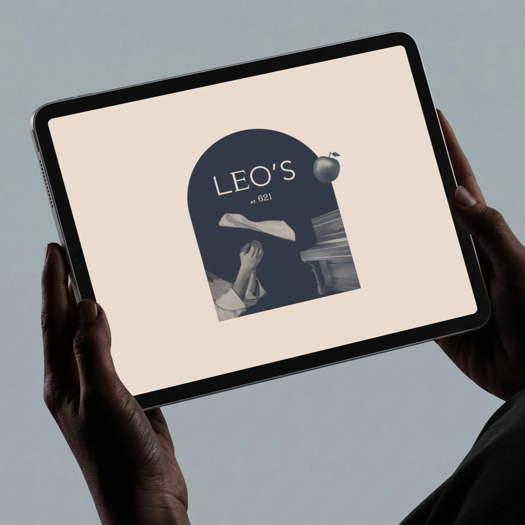 leos video fallback